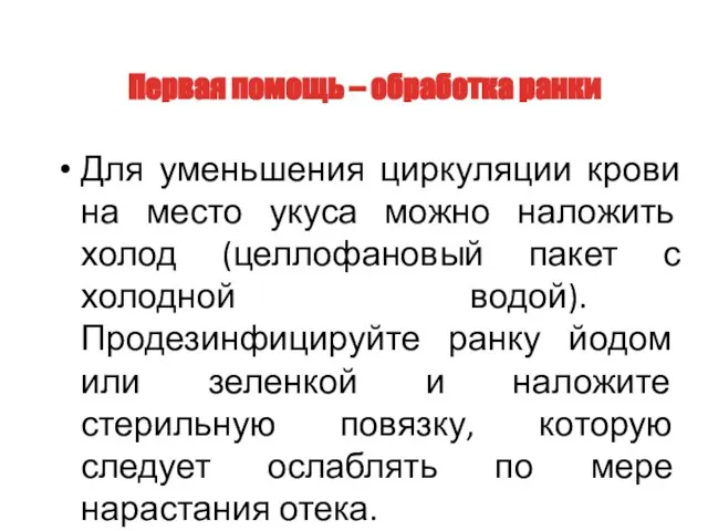 Для уменьшения циркуляции крови на место укуса можно наложить холод (целлофановый пакет