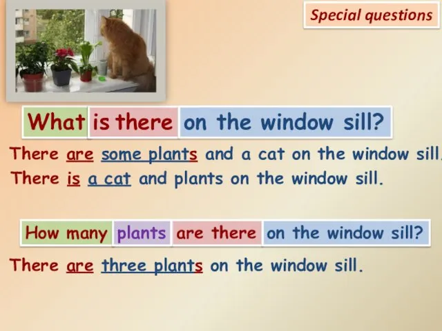 Special questions What is there on the window sill? How many are