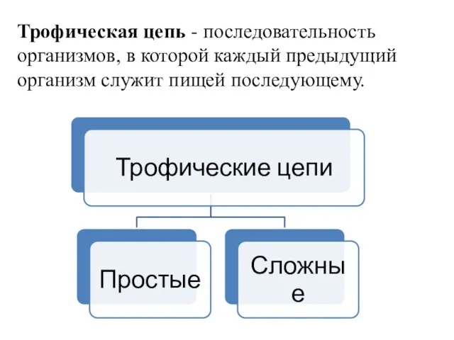 Трофическая цепь - последовательность организмов, в которой каждый предыдущий организм служит пищей последующему.