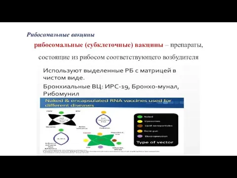 Рибосомальные вакцины рибосомальные (субклеточные) вакцины – препараты, состоящие из рибосом соответствующего возбудителя