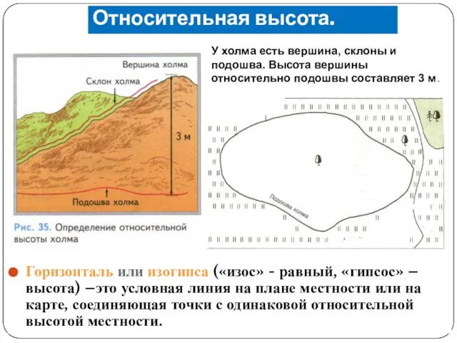 Относительная высота. Горизонталь или изогипса («изос» - равный, «гипсос» – высота) –это