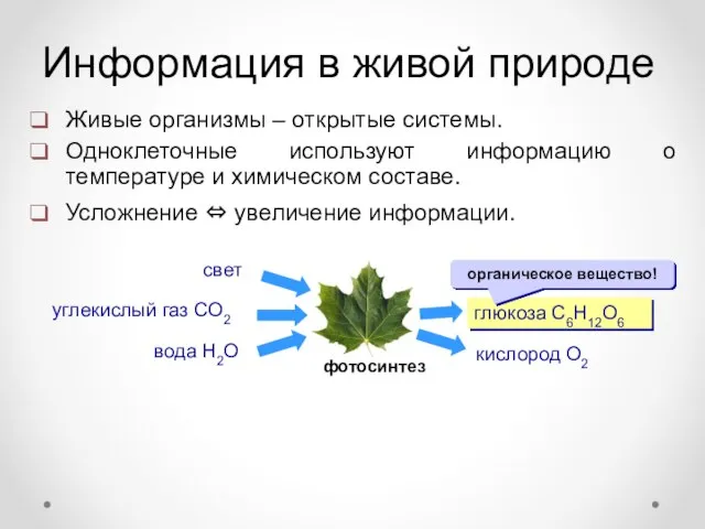 Информация в живой природе Живые организмы – открытые системы. Одноклеточные используют информацию