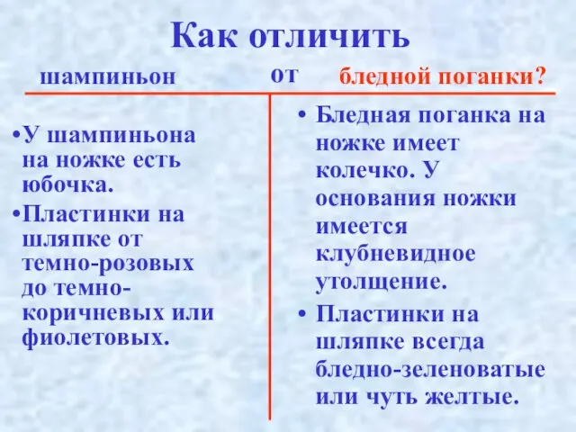 Как отличить Бледная поганка на ножке имеет колечко. У основания ножки имеется