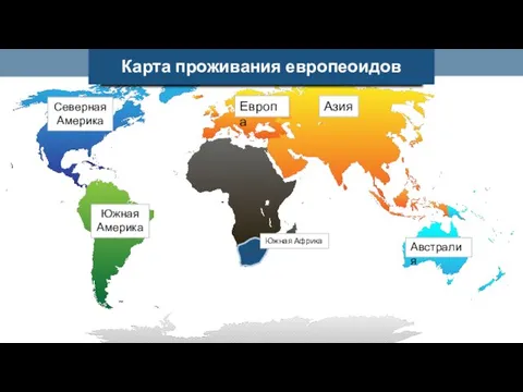 Азия Северная Америка Южная Америка Австралия Европа Карта проживания европеоидов