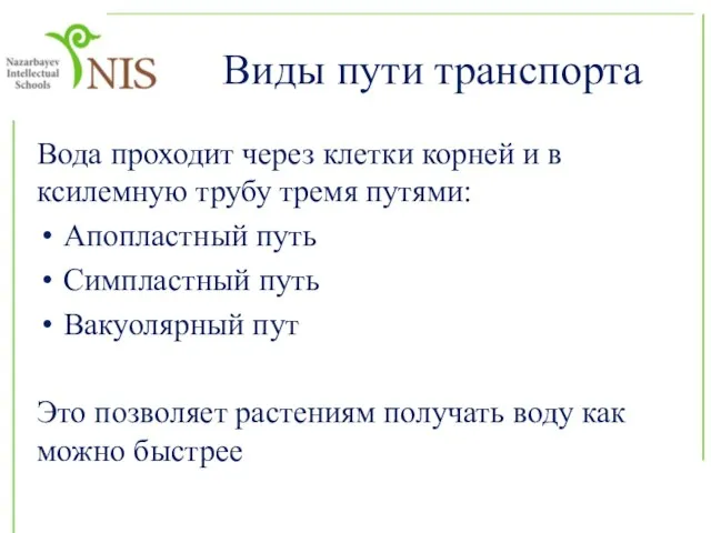 Виды пути транспорта Вода проходит через клетки корней и в ксилемную трубу