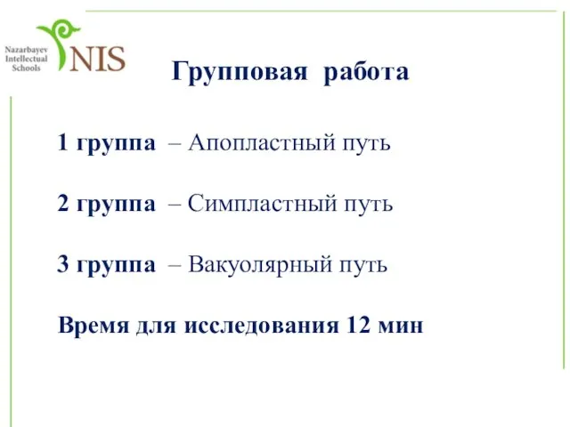 Групповая работа 1 группа – Апопластный путь 2 группа – Симпластный путь