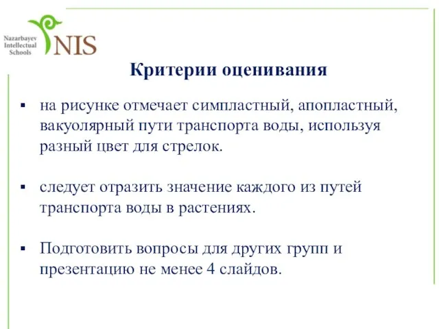 Критерии оценивания на рисунке отмечает симпластный, апопластный, вакуолярный пути транспорта воды, используя