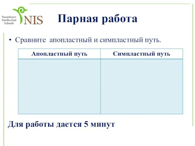 Парная работа Сравните апопластный и симпластный путь. Для работы дается 5 минут