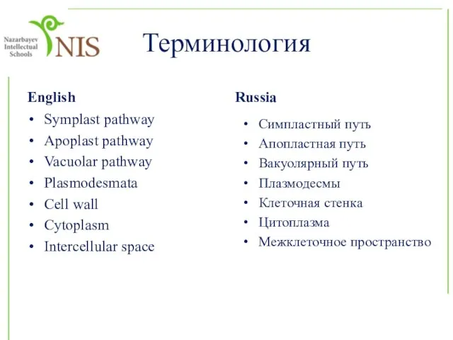 Терминология English Symplast pathway Apoplast pathway Vacuolar pathway Plasmodesmata Cell wall Cytoplasm