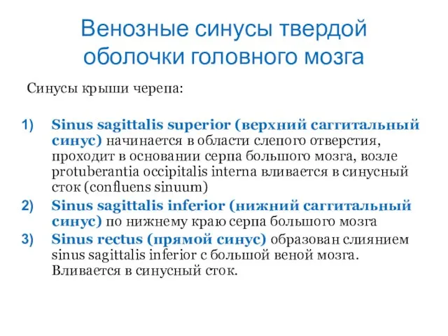 Венозные синусы твердой оболочки головного мозга Синусы крыши черепа: Sinus sagittalis superior