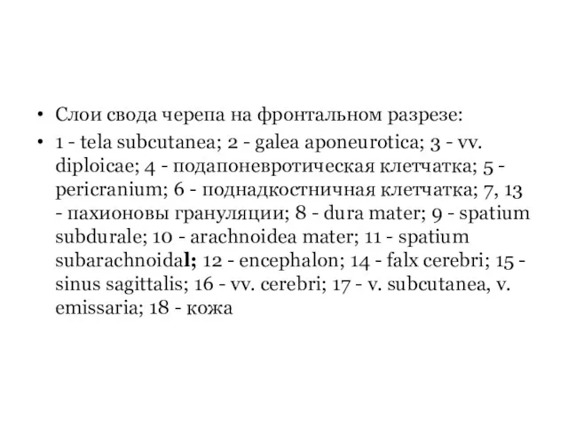 Слои свода черепа на фронтальном разрезе: 1 - tela subcutanea; 2 -