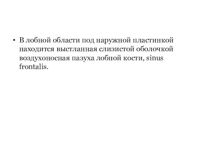 В лобной области под наружной пластинкой находится выстланная слизистой оболочкой воздухоносная пазуха лобной кости, sinus frontalis.