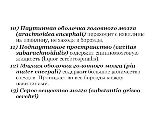 10) Паутинная оболочка головного мозга (arachnoidea encephali) переходит с извилины на извилину,