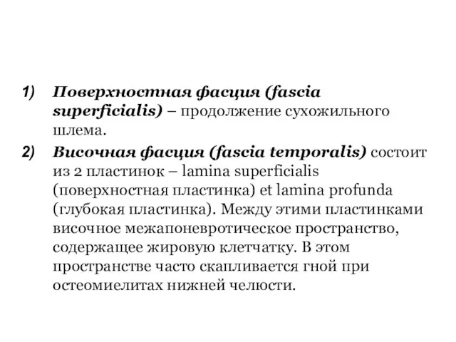 Поверхностная фасция (fascia superficialis) – продолжение сухожильного шлема. Височная фасция (fascia temporalis)