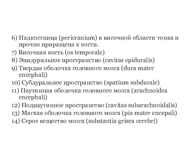 6) Надкостница (pericranium) в височной области тонка и прочно приращена к кости.