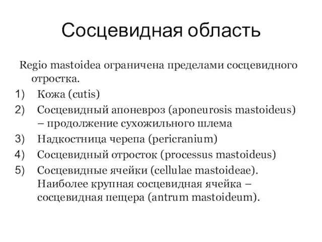 Сосцевидная область Regio mastoidea ограничена пределами сосцевидного отростка. Кожа (cutis) Сосцевидный апоневроз