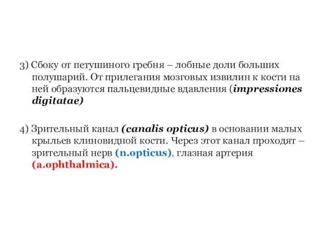 3) Сбоку от петушиного гребня – лобные доли больших полушарий. От прилегания