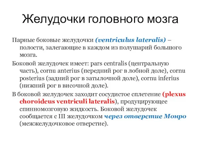 Желудочки головного мозга Парные боковые желудочки (ventriculus lateralis) – полости, залегающие в