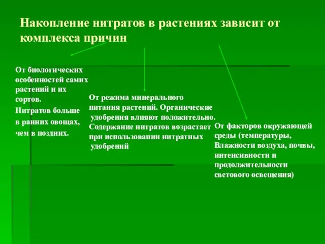 Накопление нитратов в растениях зависит от комплекса причин От биологических особенностей самих