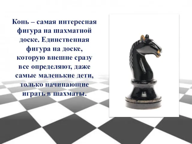 Конь – самая интересная фигура на шахматной доске. Единственная фигура на доске,