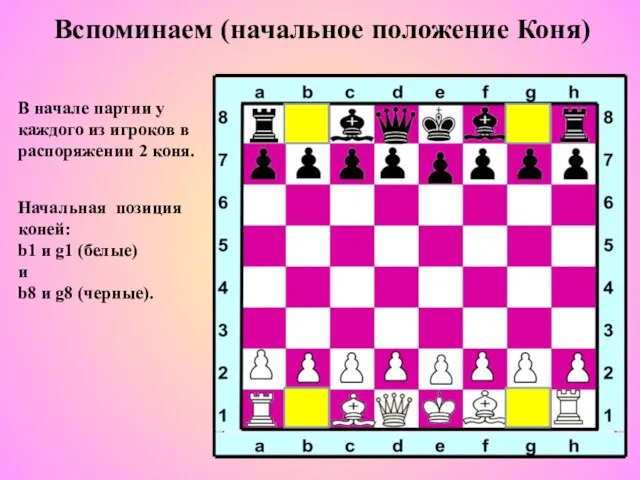 Вспоминаем (начальное положение Коня) В начале партии у каждого из игроков в