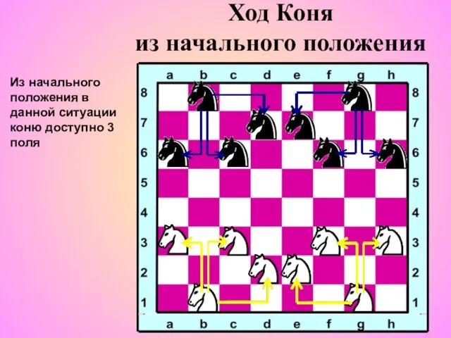 Из начального положения в данной ситуации коню доступно 3 поля Ход Коня из начального положения