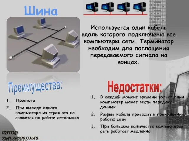 МОУ СОШ №6 г. Реутов КУРЬЯНОВА ОЛЬГА АЛЕКСЕЕВНА АВТОР: Шина Используется один