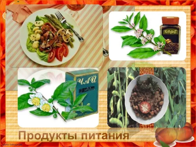 Продукты питания