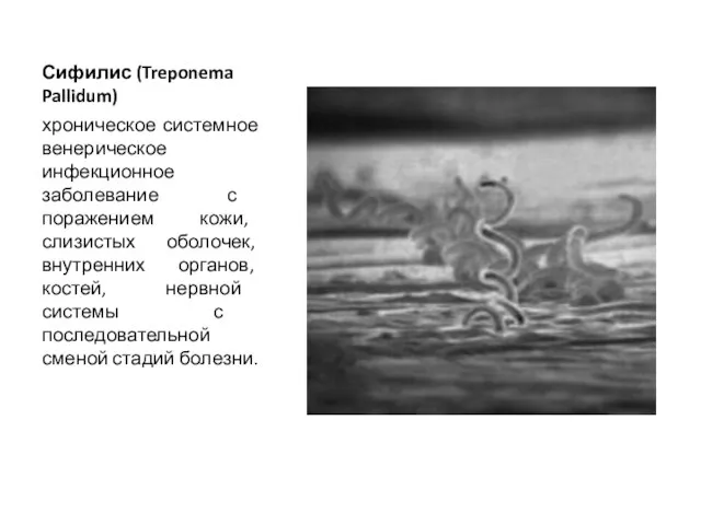 Сифилис (Treponema Pallidum) хроническое системное венерическое инфекционное заболевание с поражением кожи, слизистых