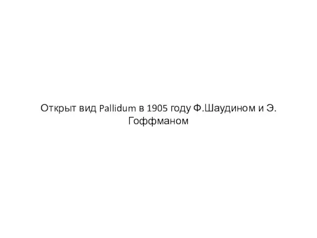 Открыт вид Pallidum в 1905 году Ф.Шаудином и Э. Гоффманом