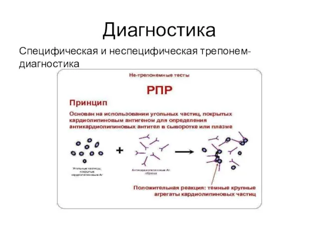 Диагностика Специфическая и неспецифическая трепонем-диагностика