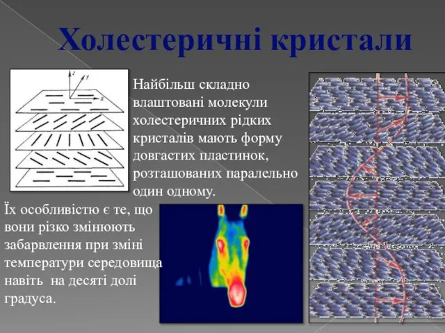 Найбільш складно влаштовані молекули холестеричних рідких кристалів мають форму довгастих пластинок, розташованих