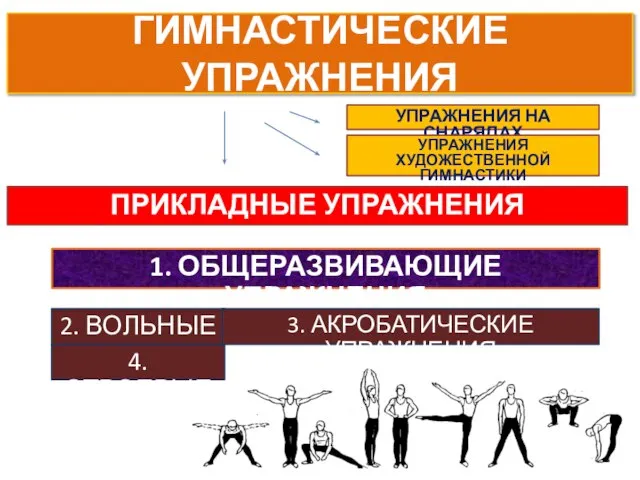 ГИМНАСТИЧЕСКИЕ УПРАЖНЕНИЯ ПРИКЛАДНЫЕ УПРАЖНЕНИЯ 4. СТРОЕВЫЕ 2. ВОЛЬНЫЕ УПРАЖНЕНИЯ НА СНАРЯДАХ УПРАЖНЕНИЯ