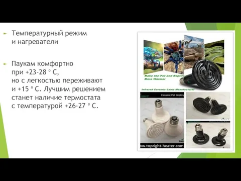 Температурный режим и нагреватели Паукам комфортно при +23-28 ⁰ С, но с