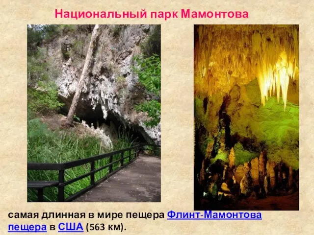 Национальный парк Мамонтова пещера самая длинная в мире пещера Флинт-Мамонтова пещера в США (563 км).