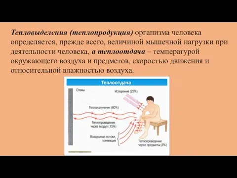 Тепловыделения (теплопродукция) организма человека определяется, прежде всего, величиной мышечной нагрузки при деятельности