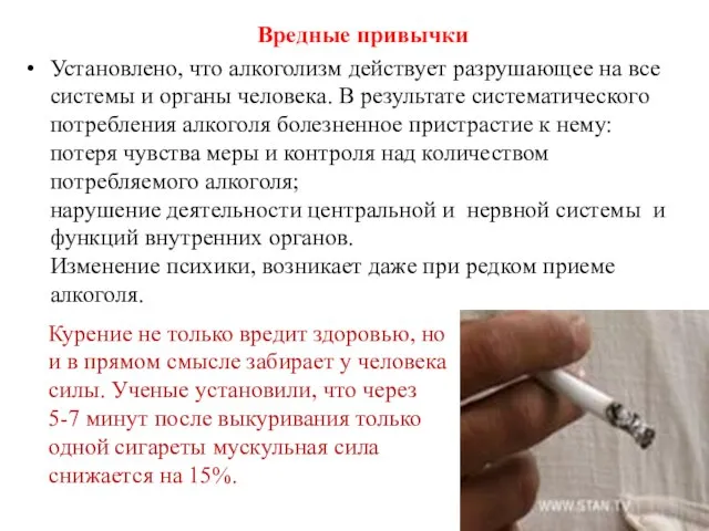 Вредные привычки Установлено, что алкоголизм действует разрушающее на все системы и органы