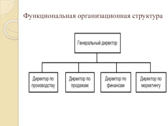 Функциональная организационная структура