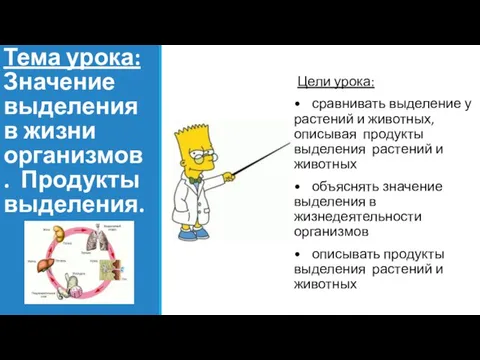 Тема урока: Значение выделения в жизни организмов. Продукты выделения. Цели урока: •