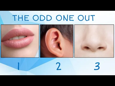 THE ODD ONE OUT 1 2 3