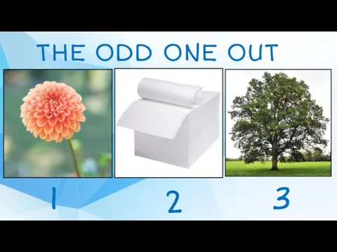 THE ODD ONE OUT 1 2 3