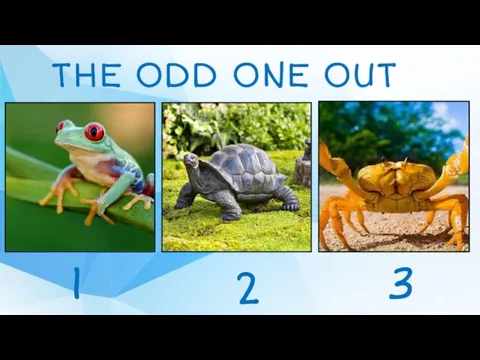 THE ODD ONE OUT 1 2 3