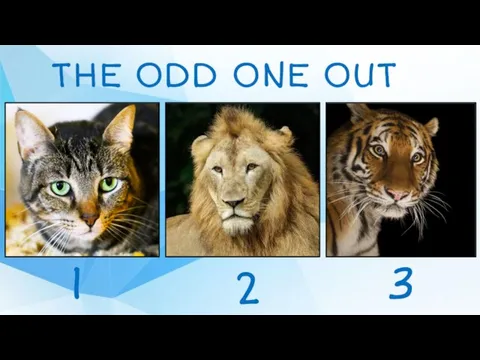 THE ODD ONE OUT 1 2 3