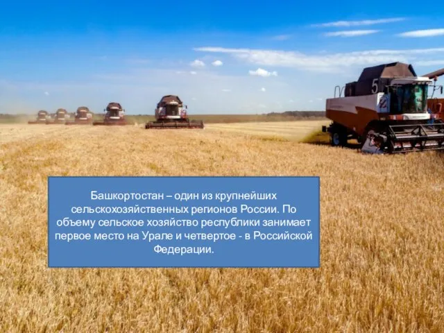 Башкортостан – один из крупнейших сельскохозяйственных регионов России. По объему сельское хозяйство