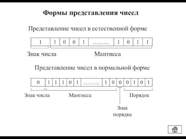 Формы представления чисел Знак числа Мантисса Знак числа Мантисса Порядок Представление чисел