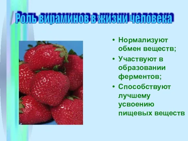 Нормализуют обмен веществ; Участвуют в образовании ферментов; Способствуют лучшему усвоению пищевых веществ