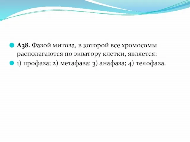 А38. Фазой митоза, в которой все хромосомы располагаются по экватору клетки, является: