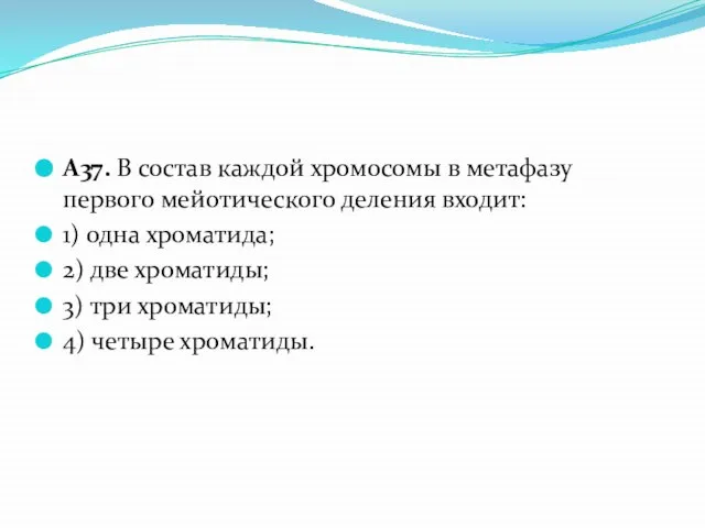 А37. В состав каждой хромосомы в метафазу первого мейотического деления входит: 1)