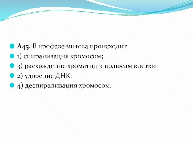 А45. В профазе митоза происходит: 1) спирализация хромосом; 3) расхождение хроматид к