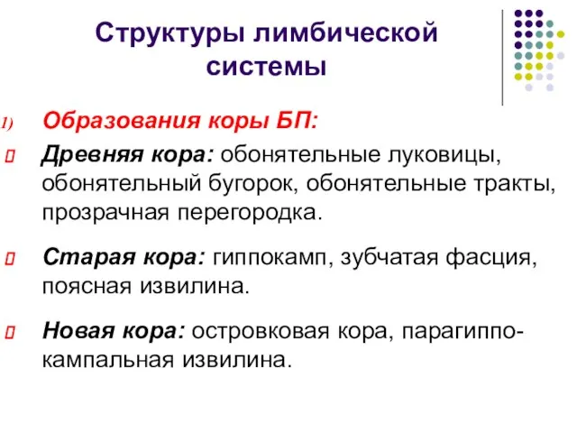 Структуры лимбической системы Образования коры БП: Древняя кора: обонятельные луковицы, обонятельный бугорок,